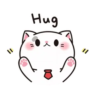🤗 Hug gatto, abbraccio, carino, animale, kawaii, adesivo telegram sticker