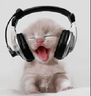 🎧 kitten, headphones, cat, animal, music telegram sticker