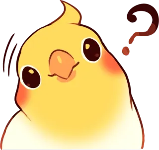 😕 オカメインコ, 鳥, 質問, 混乱, かわいい, 動物 telegram sticker