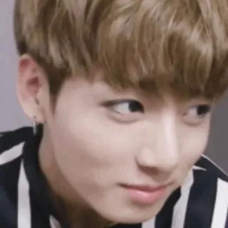 🍪 Jungkook kpop, jungkook, bts, idol, korea whatsapp sticker