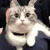 🤗