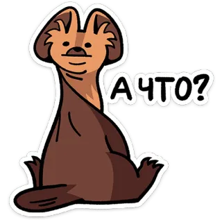 ⭐ А ЧТО? animal, cartoon, otter, funny, question, cute, meme telegram sticker