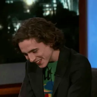 🥀 Timothée Chalamet diễn viên, người nổi tiếng, đàn ông, chân dung, Timothée Chalamet telegram sticker