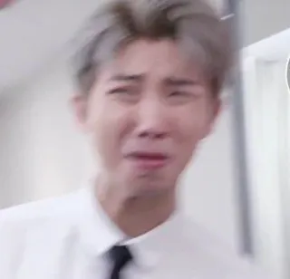 😭 meme, sad, crying, portrait, kpop telegram sticker
