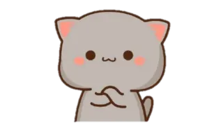 🍩 Katze, süß, Pfirsich, erröten, Tier telegram sticker