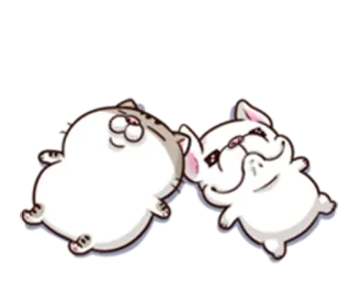 🐱 Katze, Hund, Tiere, süß, Cartoon whatsapp sticker