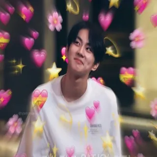😍 진짜 심장이 떨려 미치겠어 coeurs, amour, mignon, kpop, idole whatsapp sticker