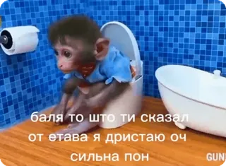 🌟 бала то што ти сказал
от етава я дристаю оч
сильна пон khỉ, nhà vệ sinh, phòng tắm, động vật telegram sticker