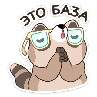 😔 ЭТО БАЗА rakun, imut, kacamata, memohon, stiker, rusia whatsapp sticker
