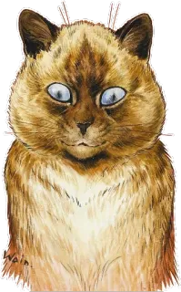 😈 chat, animal, animal de compagnie, félin, marron, yeux bleus telegram sticker