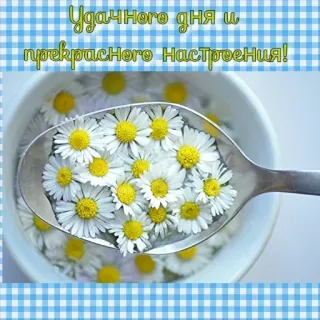 @emojis4 telegram stickers