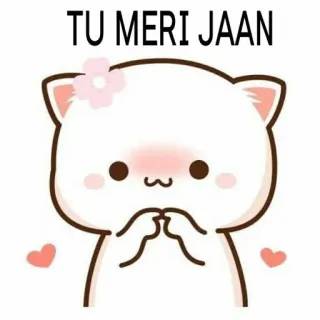 😋 TU MERI JAAN 귀여운, 고양이, 사랑, 힌디어, jaan, 꽃, 볼빨개짐 telegram sticker