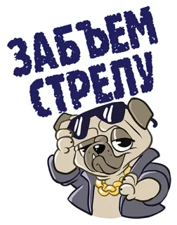 😃 ЗАБЬЕМ СТРЕЛУ carlino, perro, gafas, cadena, dibujos animados, divertido telegram sticker