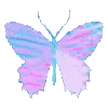 🦋
