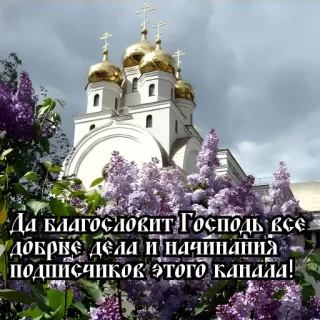 🕊 Да благословит Господь все добрые дела и начинания подписчиков этого канала! church, religion, blessing, russian, text, orthodox, lilac, religious telegram sticker