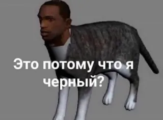 😭 Это потому что я черный? gatto, faccia umana, testo, animale, meme telegram sticker