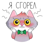 ☺️ Я СГОРЕЛ Katze, traurig, verbrannt, russisch, Aufkleber whatsapp sticker