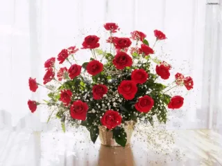 🌸 kwiaty, czerwone róże, bukiet, kompozycja kwiatowa telegram sticker