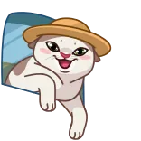 Memes With Cats @TgEmodziBot telegram emojis 👋
