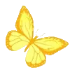 🦋