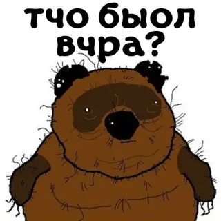 ⁉️ что был вчера? urso, russo, animal, pergunta whatsapp sticker