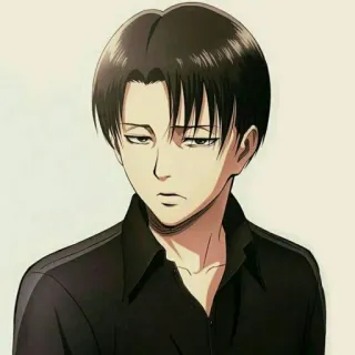 ⚔ Levi Ackerman Attack on Titan Anime, Sério, Legal, Calmo, Militar whatsapp sticker
