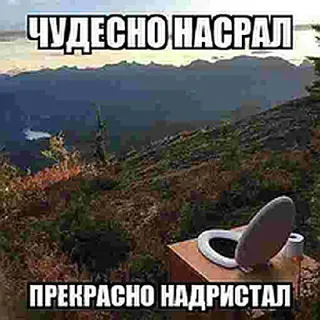 🚽 ЧУДЕСНО НАСРАЛ
ПРЕКРАСНО НАДРИСТАЛ toilet, humor, nature, landscape, outdoor toilet telegram sticker