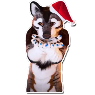 🎁 Furry, Loup, Noël, Bonnet de Père Noël, Costume, Animal, Hiver, Célébration telegram sticker