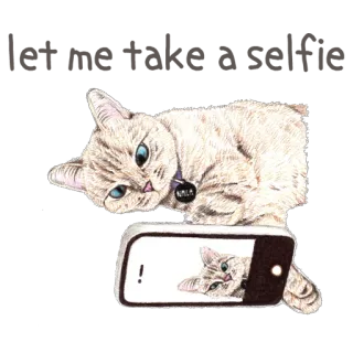 📷 고양이, 셀카, 동물, 귀여운, 폰, 애완동물, 새끼 고양이 telegram sticker