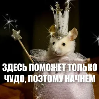 💫 ЗДЕСЬ ПОМОЖЕТ ТОЛЬКО ЧУДО, ПОЭТОМУ НАЧНЕМ mouse, fairy, magic, sparkle, cute, animal, crown telegram sticker