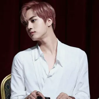 ❄️ Jin kpop, k-pop, penyanyi, idola, asia, potret, pria whatsapp sticker