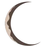 🌜