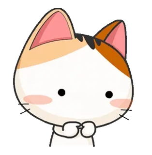 ⭐ gato, animal, fofo, adesivo, emoji, desenho animado, felino whatsapp sticker