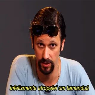 ☠️ Infelizmente atropelei um tamanduá hombre, gafas de sol, retrato, Atamanduá, triste telegram sticker