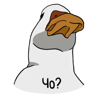 🤨 Чо? anatra, schiaffo, russo, domanda, divertente, uccello telegram sticker