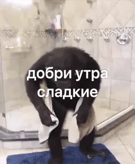 🌟 добри утра сладкие 猿, 淋浴, 早上好, 动物, 可爱 telegram sticker