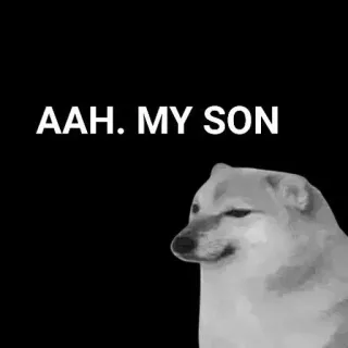 🙂 AAH. MY SON Doge, Anjing, Meme, Aah anakku, Hewan peliharaan, Binatang whatsapp sticker