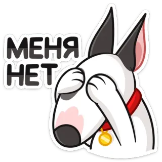 🙈 МЕНЯ НЕТ chien, bull terrier, dessin animé, autocollant, drôle, cacher, russe, texte whatsapp sticker
