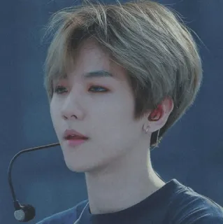 ✨ kpop, idol, singer, artist, performer, baekhyun telegram sticker