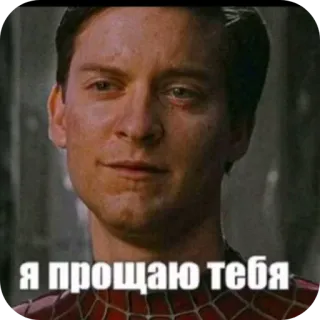 👍 Spider-Man Я прощаю тебя telegram sticker