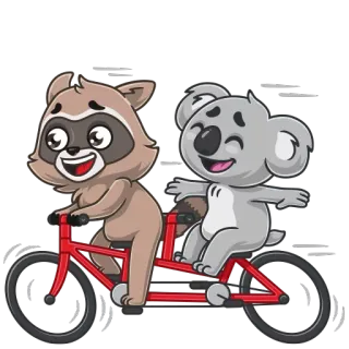 🚵 แรคคูน, โคอาลา, จักรยาน, สัตว์, มิตรภาพ, การ์ตูน, น่ารัก telegram sticker