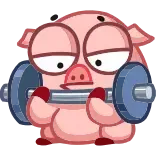 💪 Schwein, Gewichtheben, Übung, Cartoon, Fitness, Tier telegram sticker