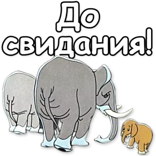 👋 До свидания! elefante, animales, despedida, adiós telegram sticker