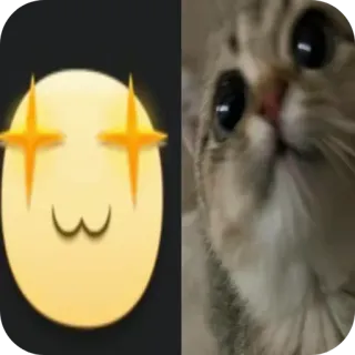 Больше стиков тут: @stikery4 whatsapp stickers