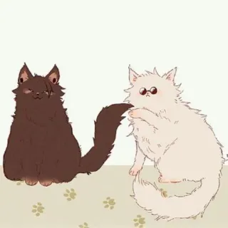 🐈 Katze, süß, Tier, Haustier, Cartoon, flauschig, Hauskatze telegram sticker