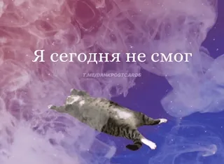 🌟 Я сегодня не смог chat, mème, drôle, animal, sommeil telegram sticker