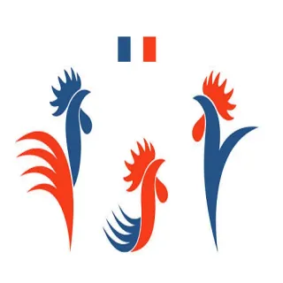 🇫🇷 Francia, gallo, bandera, francés, símbolo, nacional, icono telegram sticker
