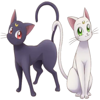 ✔ Luna Sailor Moon kot, kreskówka, anime, Luna, Sailor Moon, słodki telegram sticker