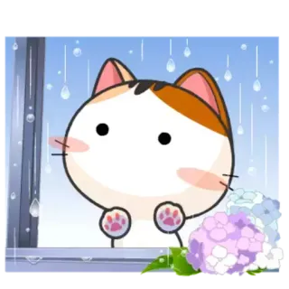 ❄️ 猫, 雨, 窓, かわいい, 動物 telegram sticker