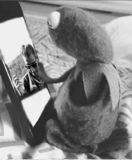 🥀 Kermit kermit, muppet, refleksi, boneka, cermin whatsapp sticker